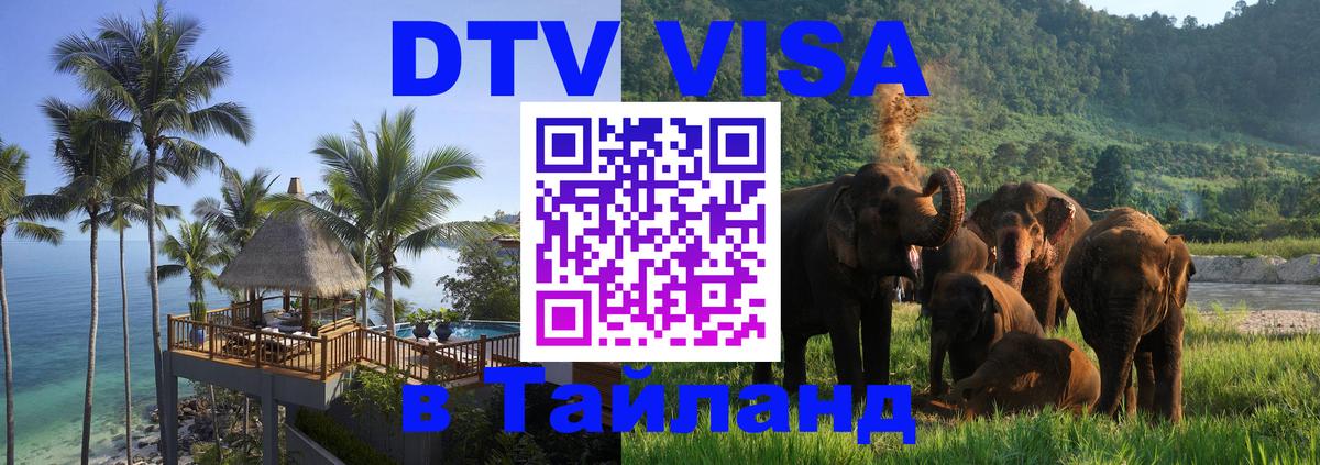 Оформление DTV визы под ключ: стоимость и тарифы, только загранпаспорт - 